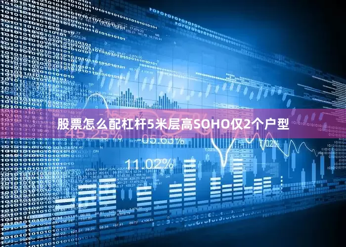 股票怎么配杠杆5米层高SOHO仅2个户型